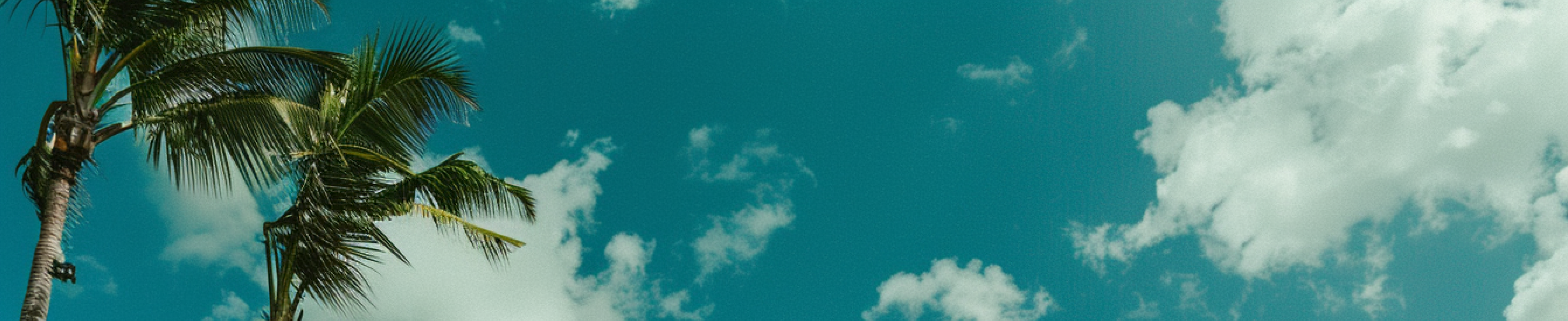 Banner 2